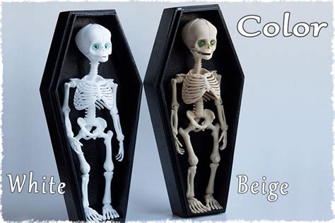 bjd metal skeleton lifelike sleeping box|Bjd Skeleton .